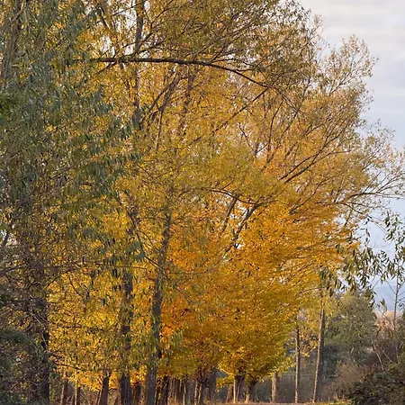 Apartamento Czorsztynlakepl