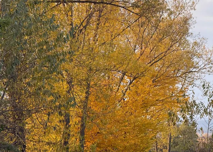 Appartamento Czorsztynlakepl